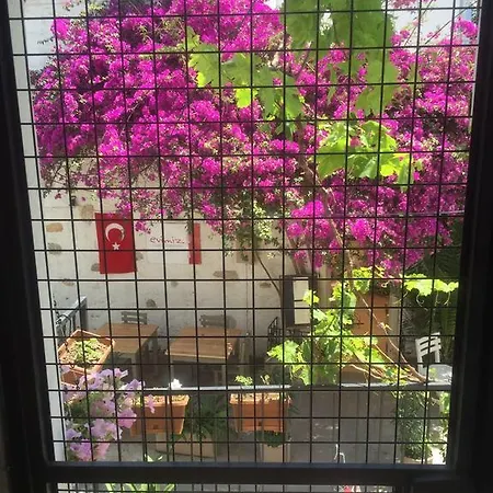 Apartmán Deniz *